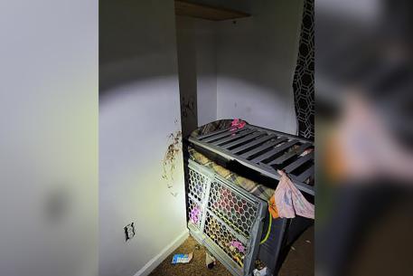 Upstate NY mom kept toddler locked in homemade cage as photos reveal the stomach-turning conditions: cops