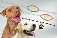 Side by side of dog jewelry from London Jewelers.